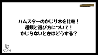 ハムスターのかじり木を比較!種類と選び方について!かじらないときはどうする?